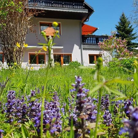 Ferienwohnung Hillig Elterlein Bagian luar foto