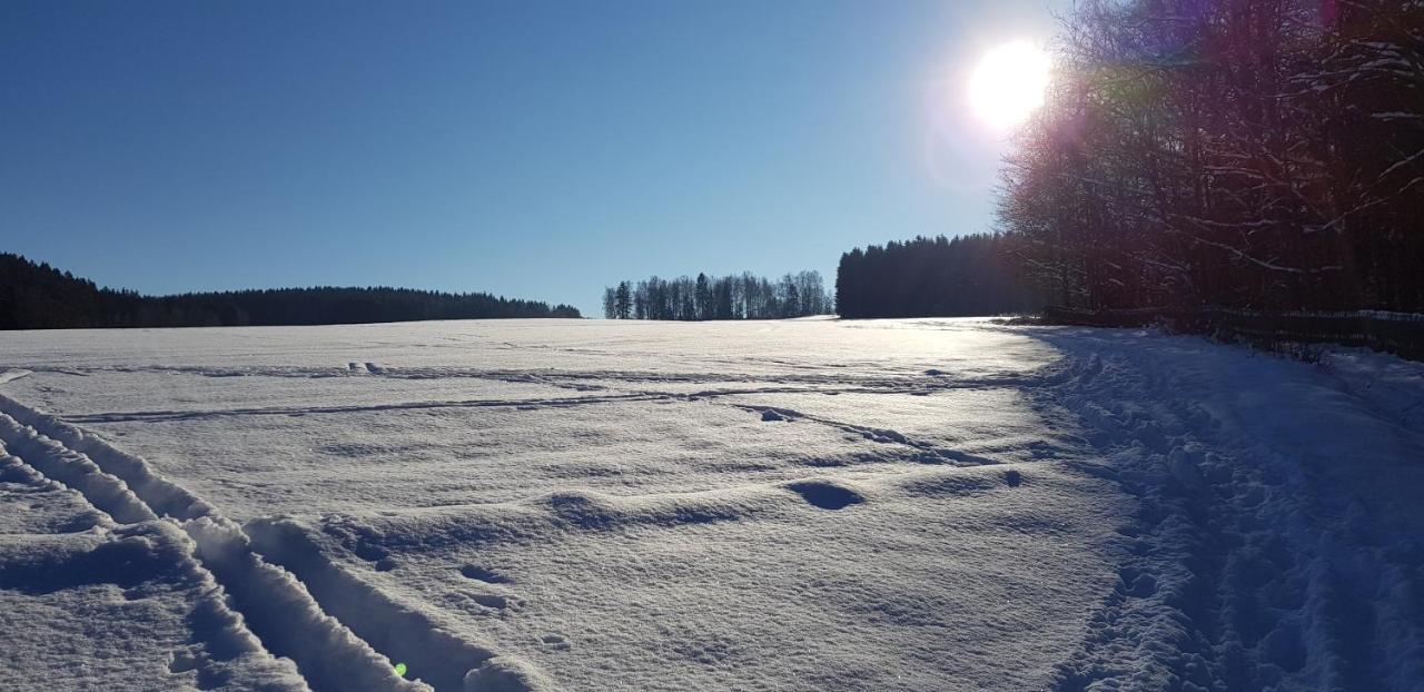 Ferienwohnung Hillig Elterlein Bagian luar foto