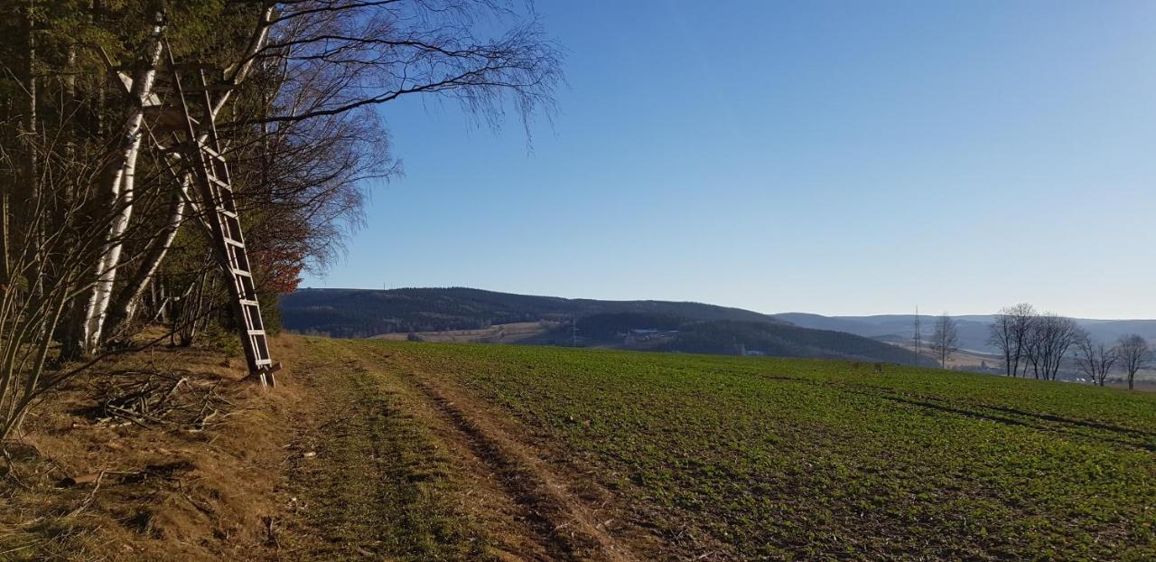 Ferienwohnung Hillig Elterlein Bagian luar foto