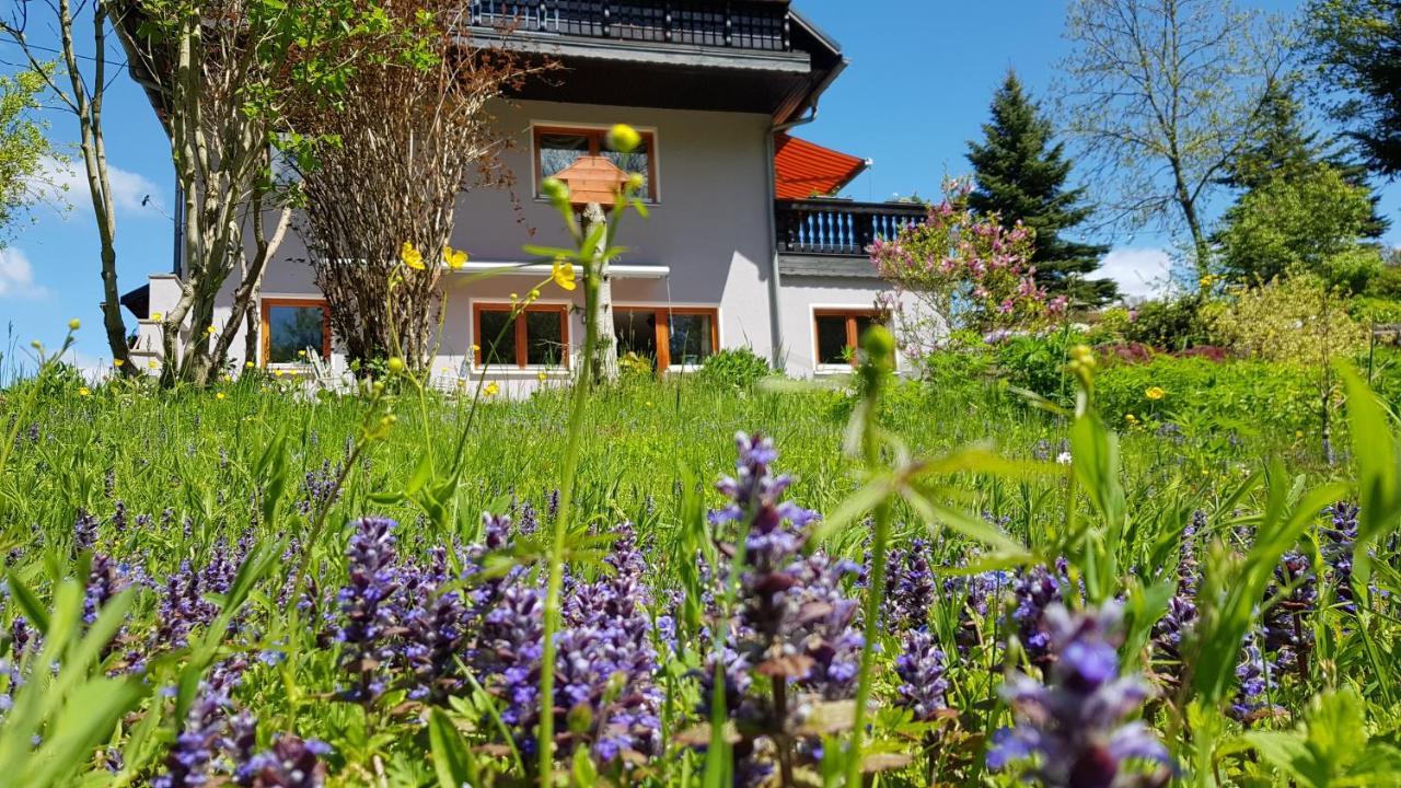 Ferienwohnung Hillig Elterlein Bagian luar foto