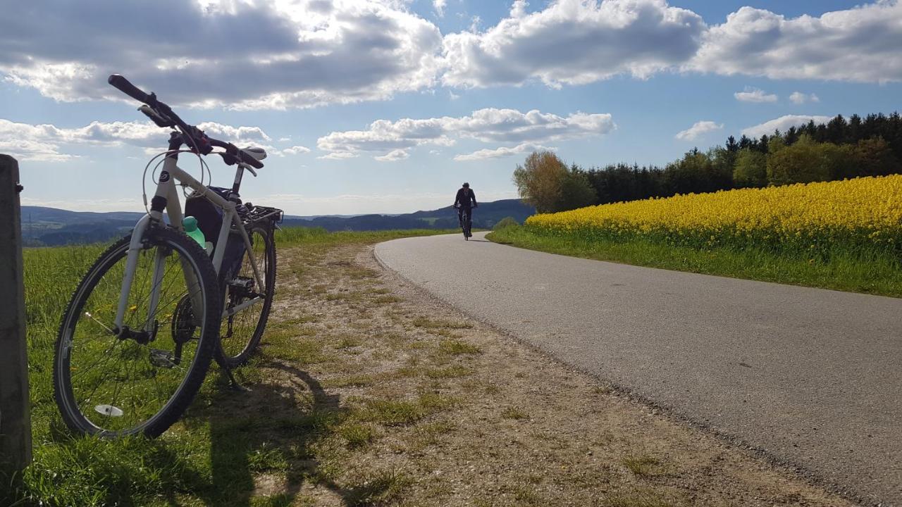 Ferienwohnung Hillig Elterlein Bagian luar foto