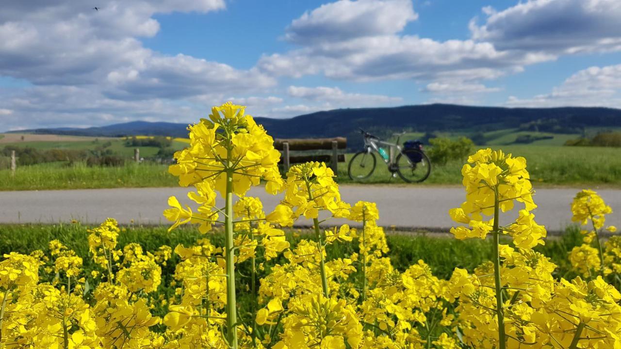 Ferienwohnung Hillig Elterlein Bagian luar foto