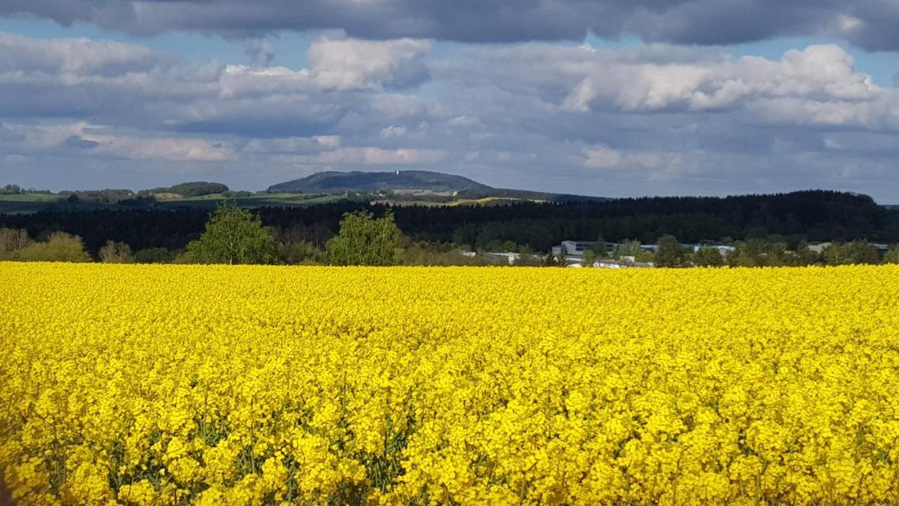 Ferienwohnung Hillig Elterlein Bagian luar foto