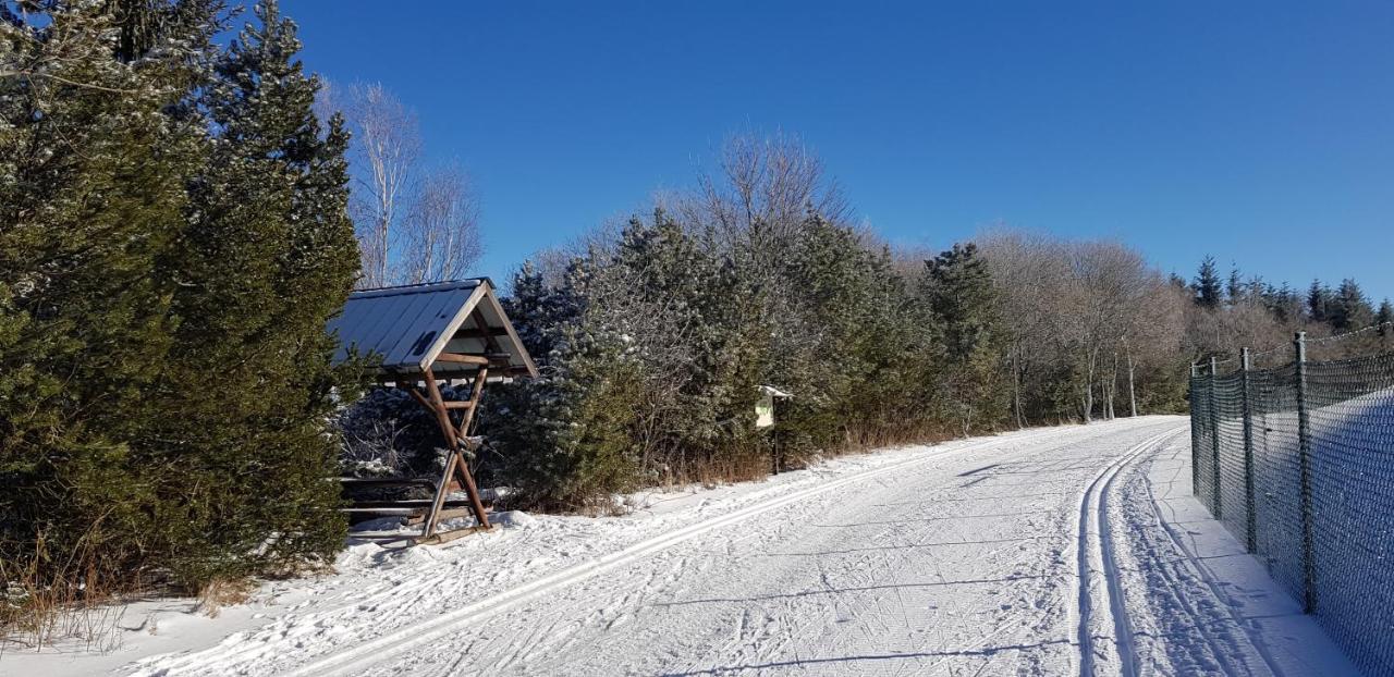 Ferienwohnung Hillig Elterlein Bagian luar foto